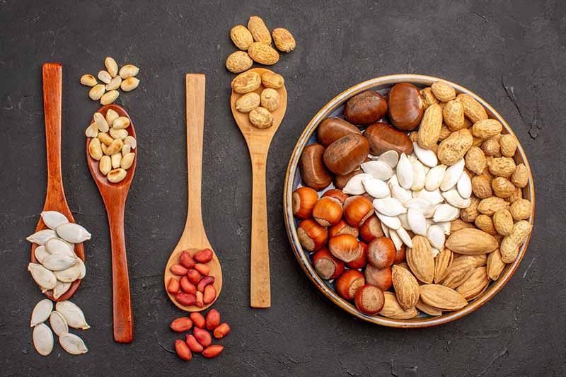 Những loại thực phẩm tự nhiên giúp cơ thể duy trì sự linh hoạt và dẻo dai